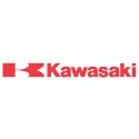 Kawasaki plastiche